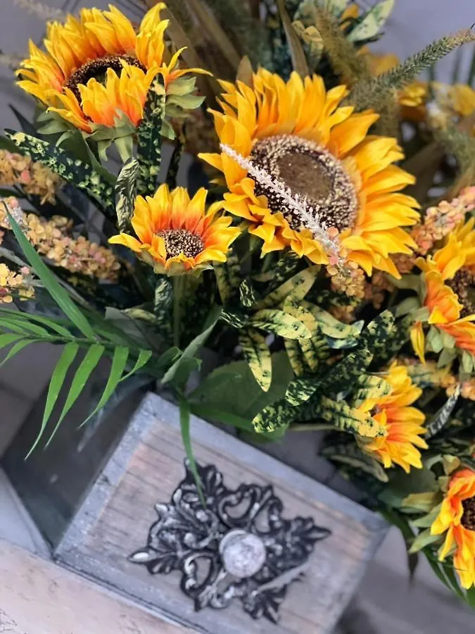 シルミオーネSunflower Apartamentアパートメント イタリア